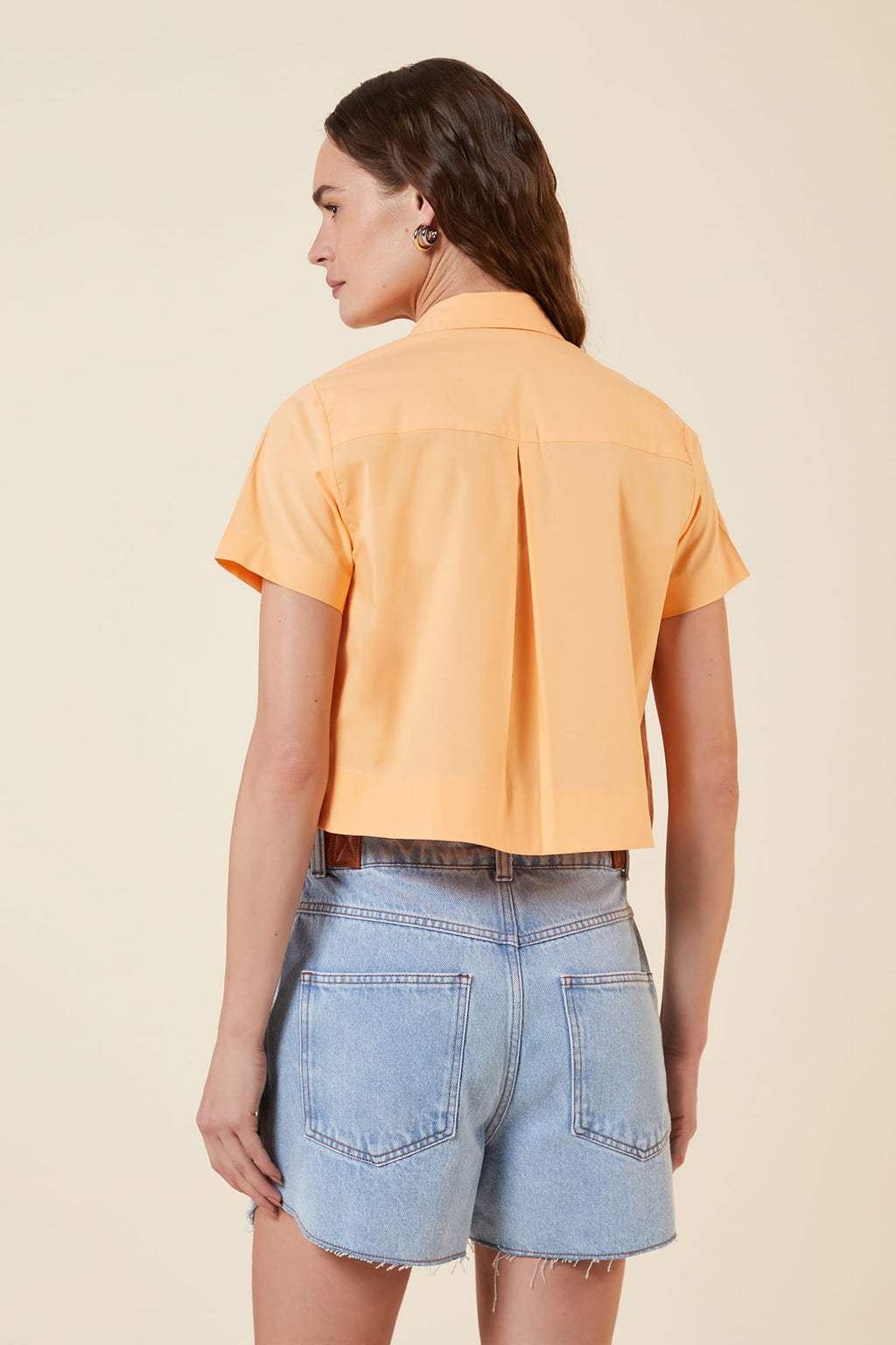 APRICOT