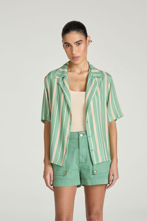 CAMISA - EST LISTRADO LIMONE